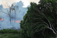 Amazzonia, a giugno più di 2.200 roghi. Mai così tanti dal 2007
