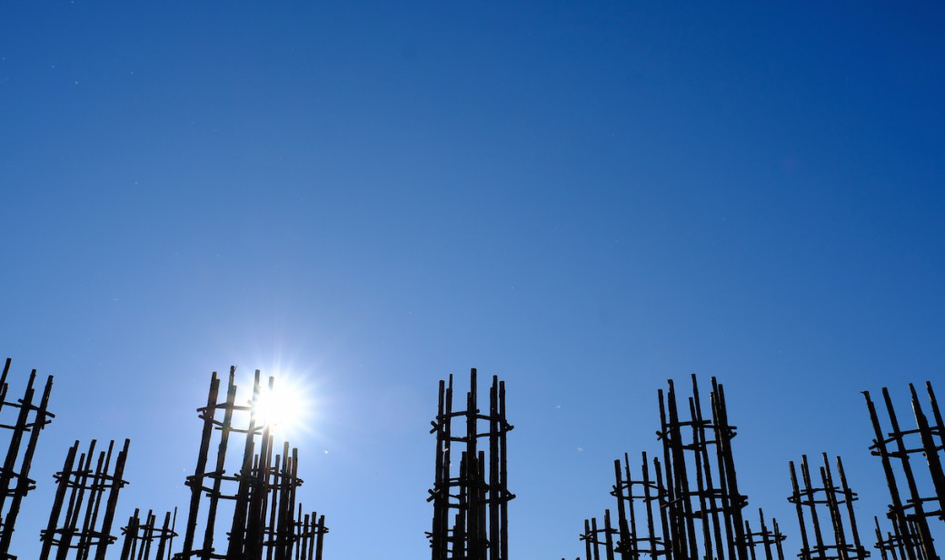 Cos'è la Cattedrale vegetale di Giuliano Mauri a Lodi, e quando si può visitare