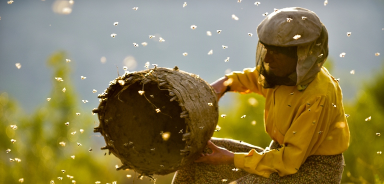 Honeyland Oscar 2020