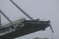 Genova, crollato il ponte Morandi sull’autostrada A10: decine di vittime