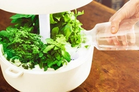 5 lampade per patiti di ecodesign