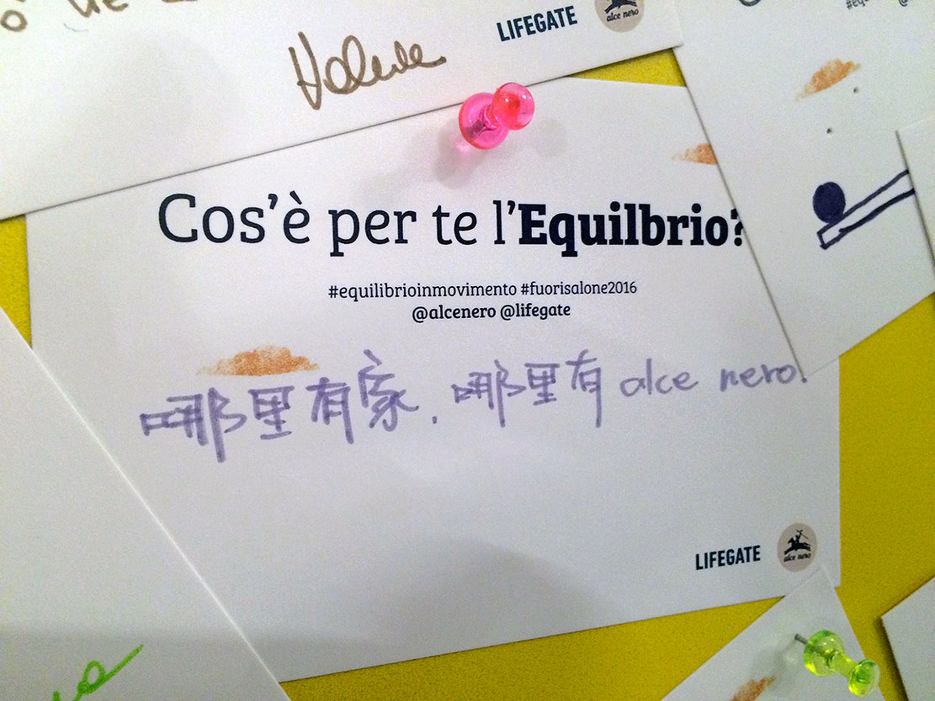 equilibrio14