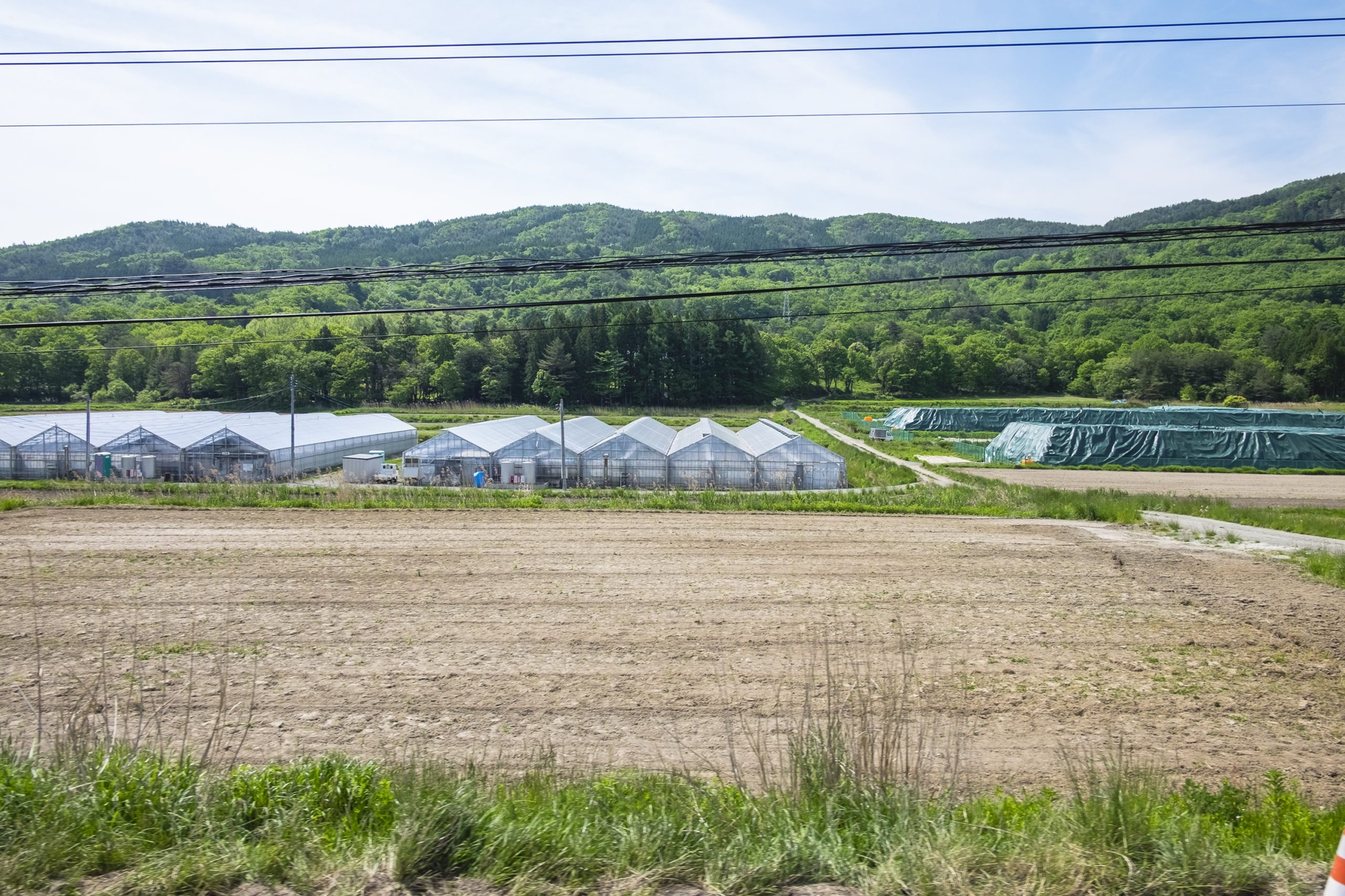 Fukushima a sei anni dal disastro