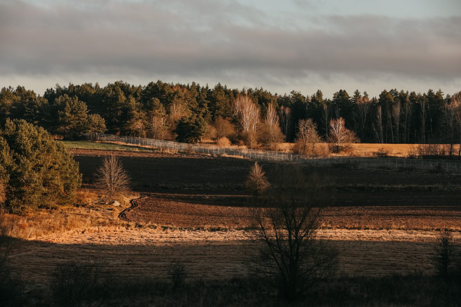 Migrants Amass On Belarus-Polish Border