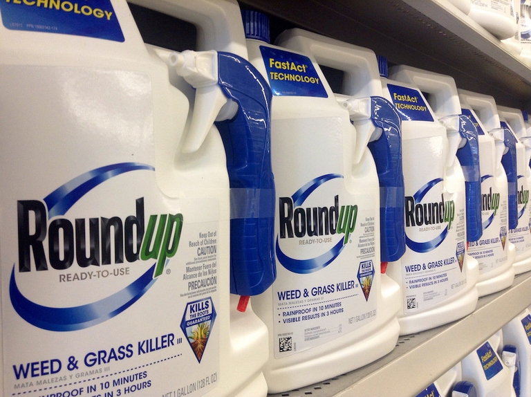 L'erbicida Roundup di Monsanto contenente glifosato è oggetto di molte cause giudiziarie per essere potenzialmente cancerogeno © Mike Mozart/Flickr