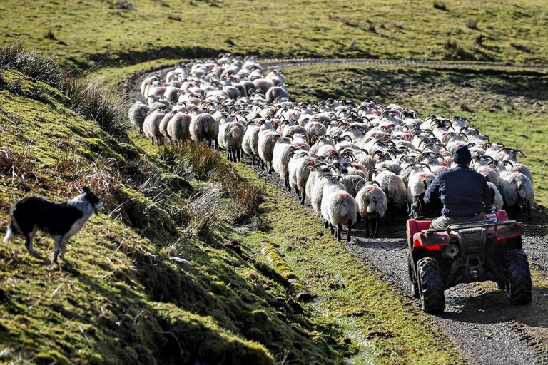 francia patrimonio sensoriale delle campagne
