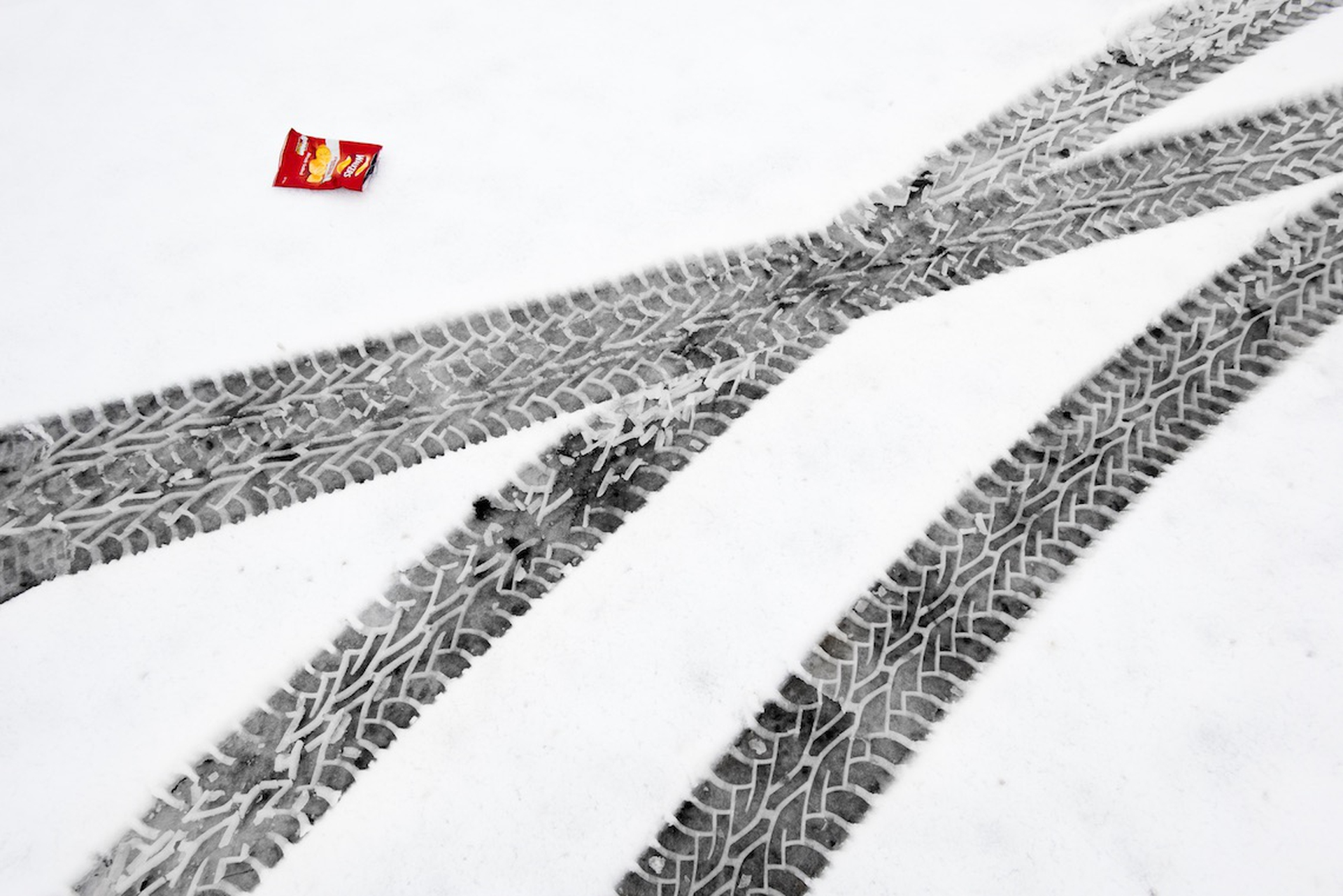 Spazzatura e animali. Fotografie di Chris Packham per Lidl