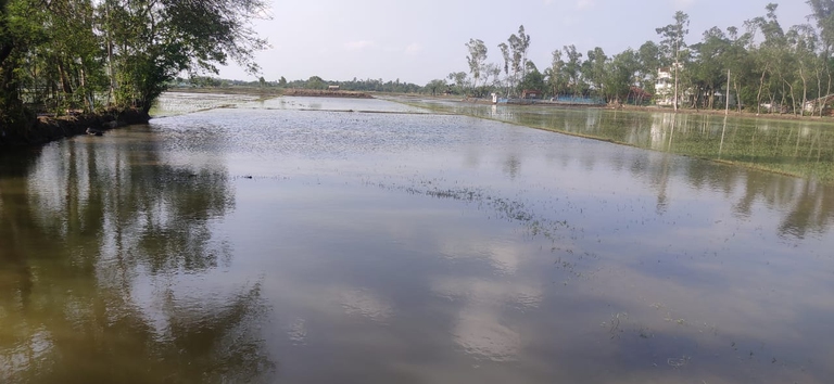 cyclones india, yaas, flooding, agriculture 