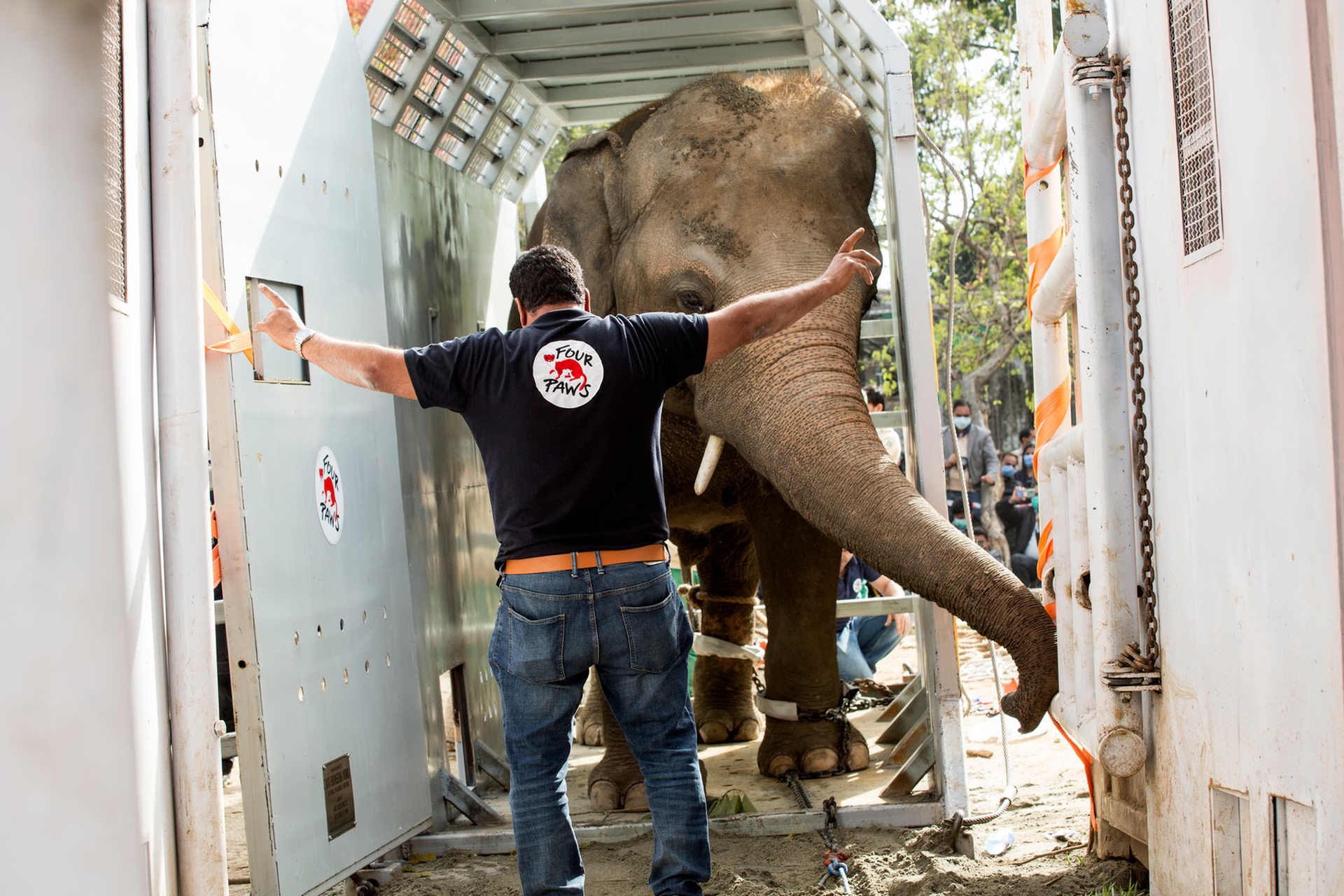 Il trasporto di kaavan