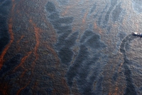 Il disastro della Deepwater Horizon. Cosa è successo, le cause e i responsabili