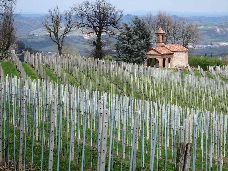 Roddi, cammini, Langhe