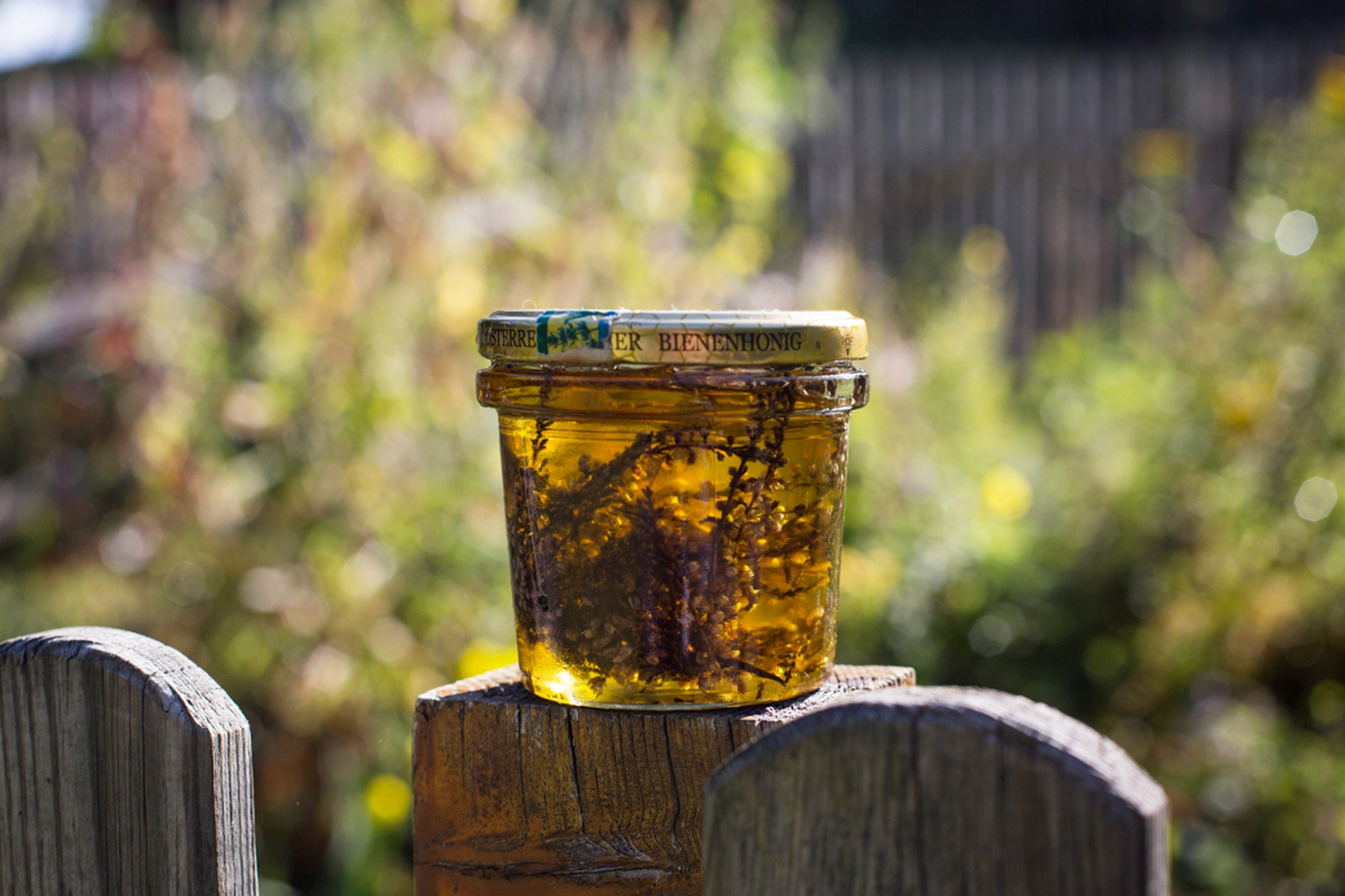 Il foraging come modo per vivere a pieno la natura