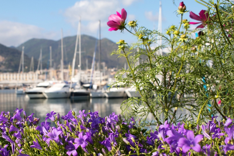 yacht garden