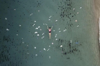 2050: Cronache Marine, il docufilm che mostra come potrebbe essere il futuro dei mari
