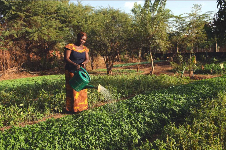 10000-orti-Africa-Slowfood2