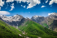 Il potere lenitivo della natura agisce anche sui detenuti