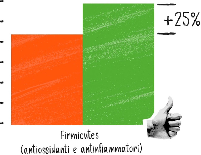 dieta biologica mediterranea