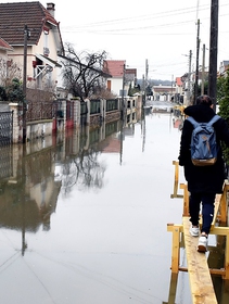 Il ruolo delle donne e la questione di genere nella lotta ai cambiamenti climatici