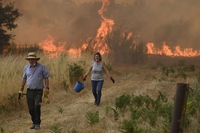 Mega-incendi devastano Spagna e Portogallo. In fumo già 342mila ettari