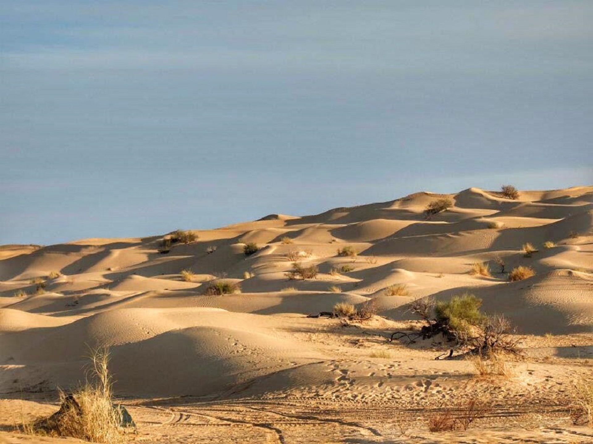 La porzione di deserto tunisina attraversata si chiama Grande Erg orientale