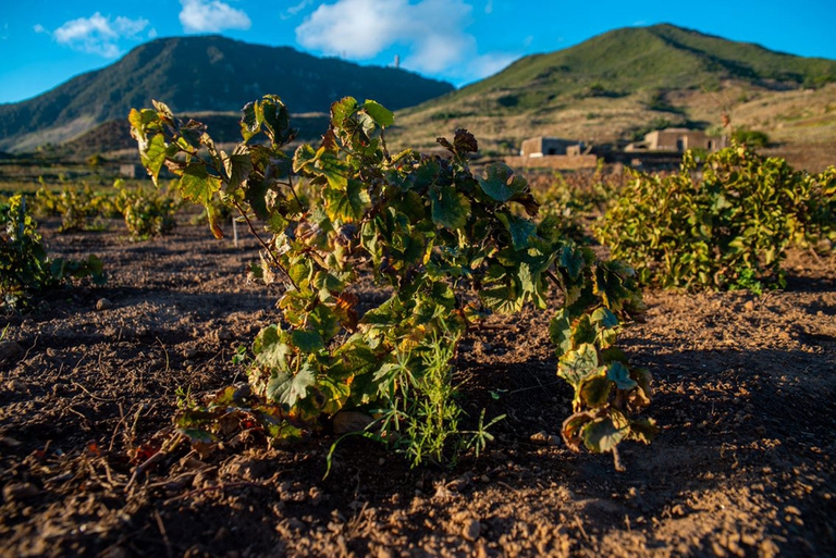 isola di Pantelleria