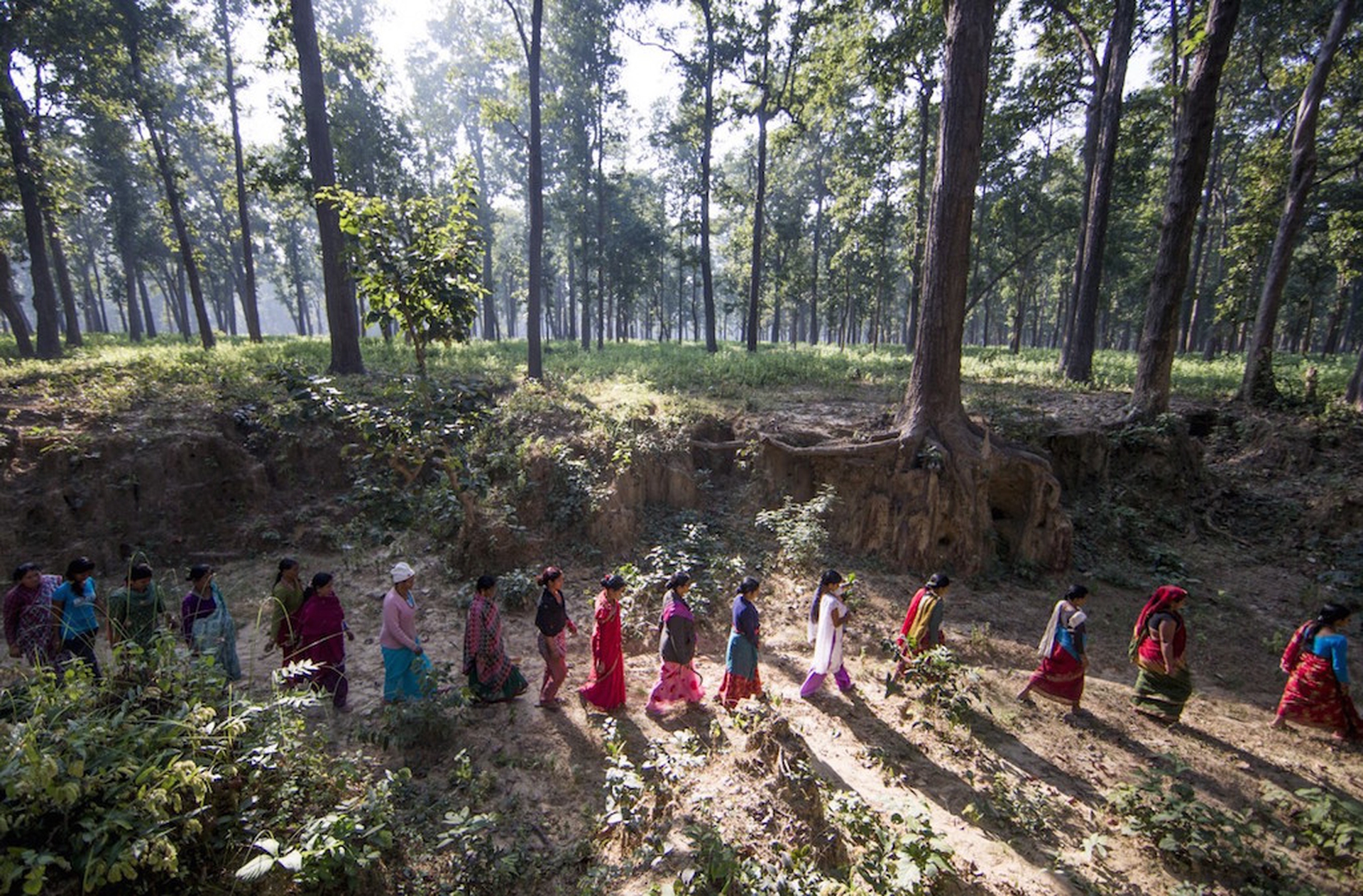 Le Donne A Guardia Della Biodiversità In Nepal Le Foto In Un Reportage Del Wwf Lifegate