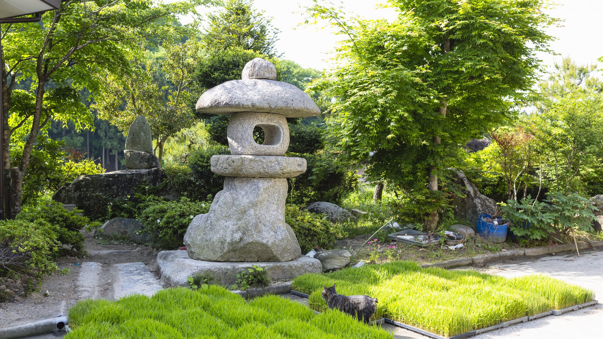 Fukushima a sei anni dal disastro