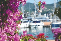 Fiori e piante del Mediterraneo in mostra a Genova, allo Yacht & Garden