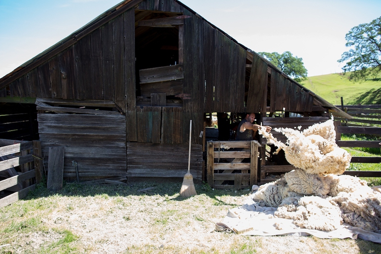 fibershed moda sostenibile rebecca burgess tessuti produzione naturale