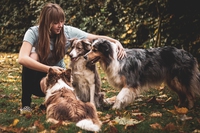 Meetmypet, il social network per i nostri amici a quattro zampe