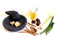 Come convertire il farmaco fitoterapico jamu in energia pulita e denaro