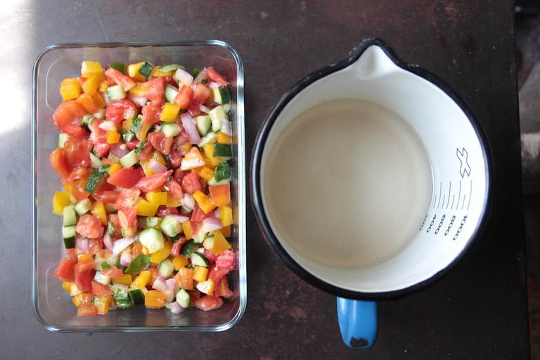 Gazpacho in gelatina
