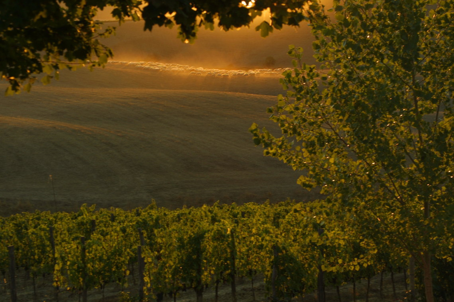 Paradiso di Frassina, a Montalcino