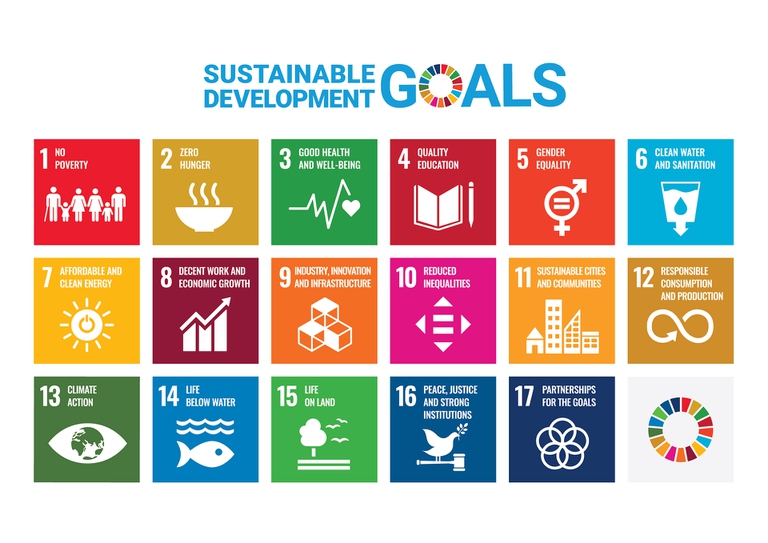 Obiettivi di sviluppo sostenibile, Onu, sdgs