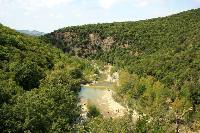 Riserva della Foresta di Berignone
