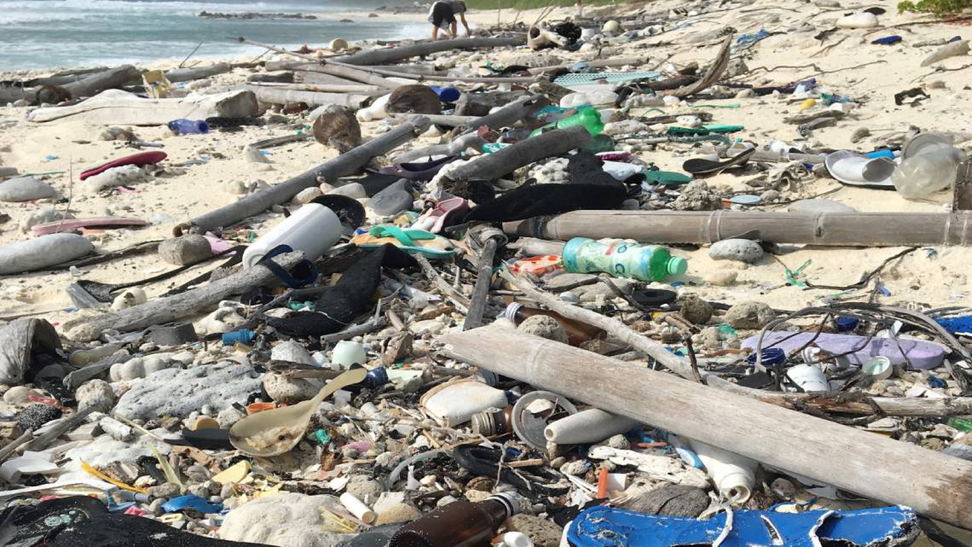 plastica isole cocos (2)