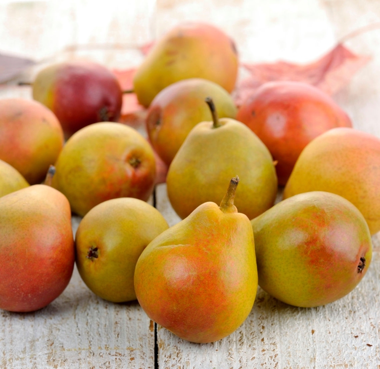 Alce Nero, prodotti biologici