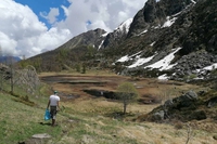 Le torbiere alpine, alleate silenziose nella lotta ai cambiamenti climatici