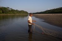 The Yuqui people of Bolivia fight for survival against logging and Covid-19