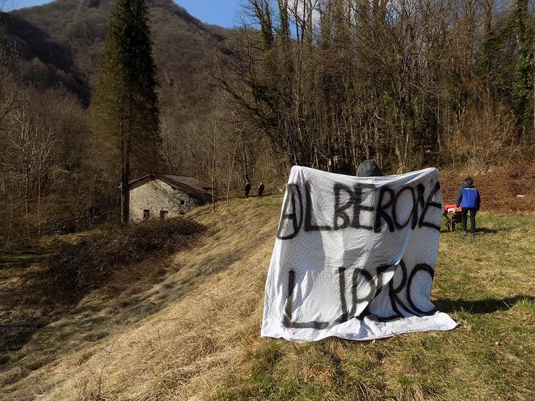 torrente alberone, aran cosentino