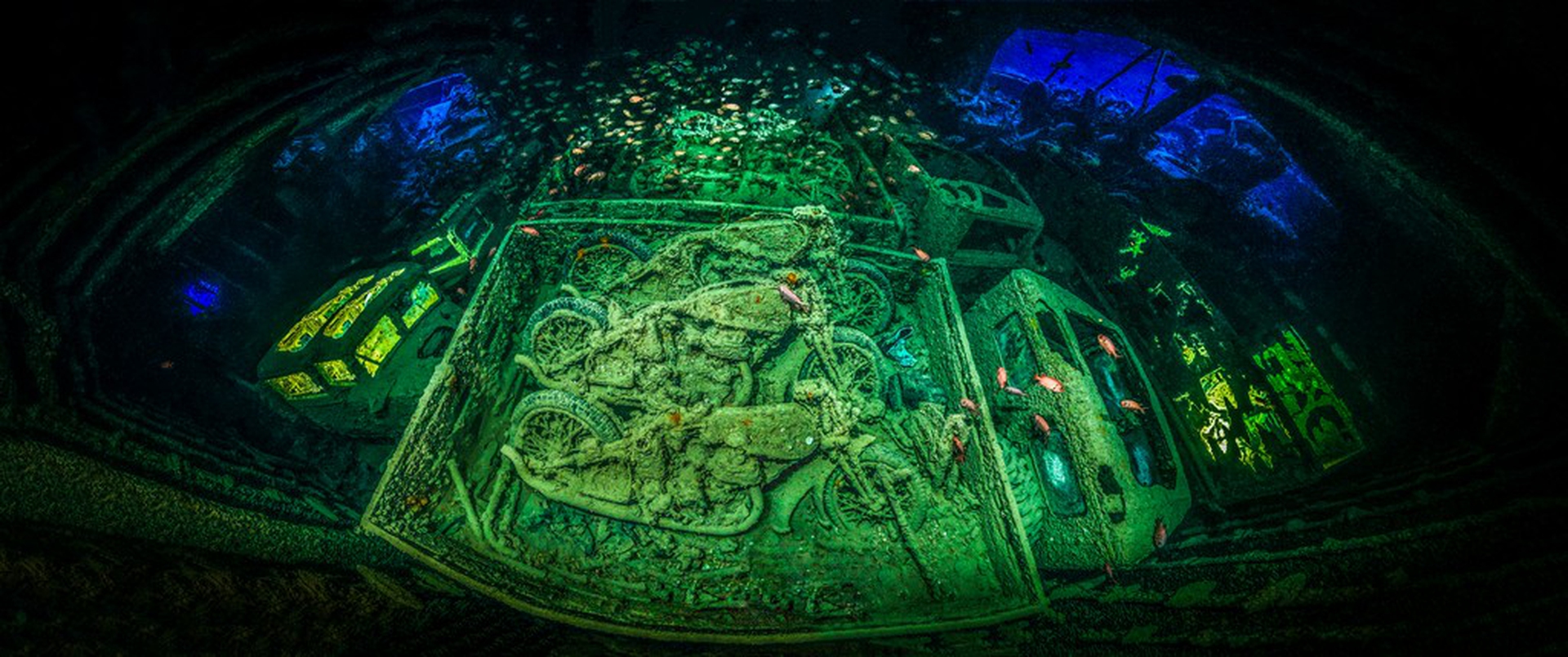 Le foto che hanno vinto l'Underwater Photographer of the Year 2018