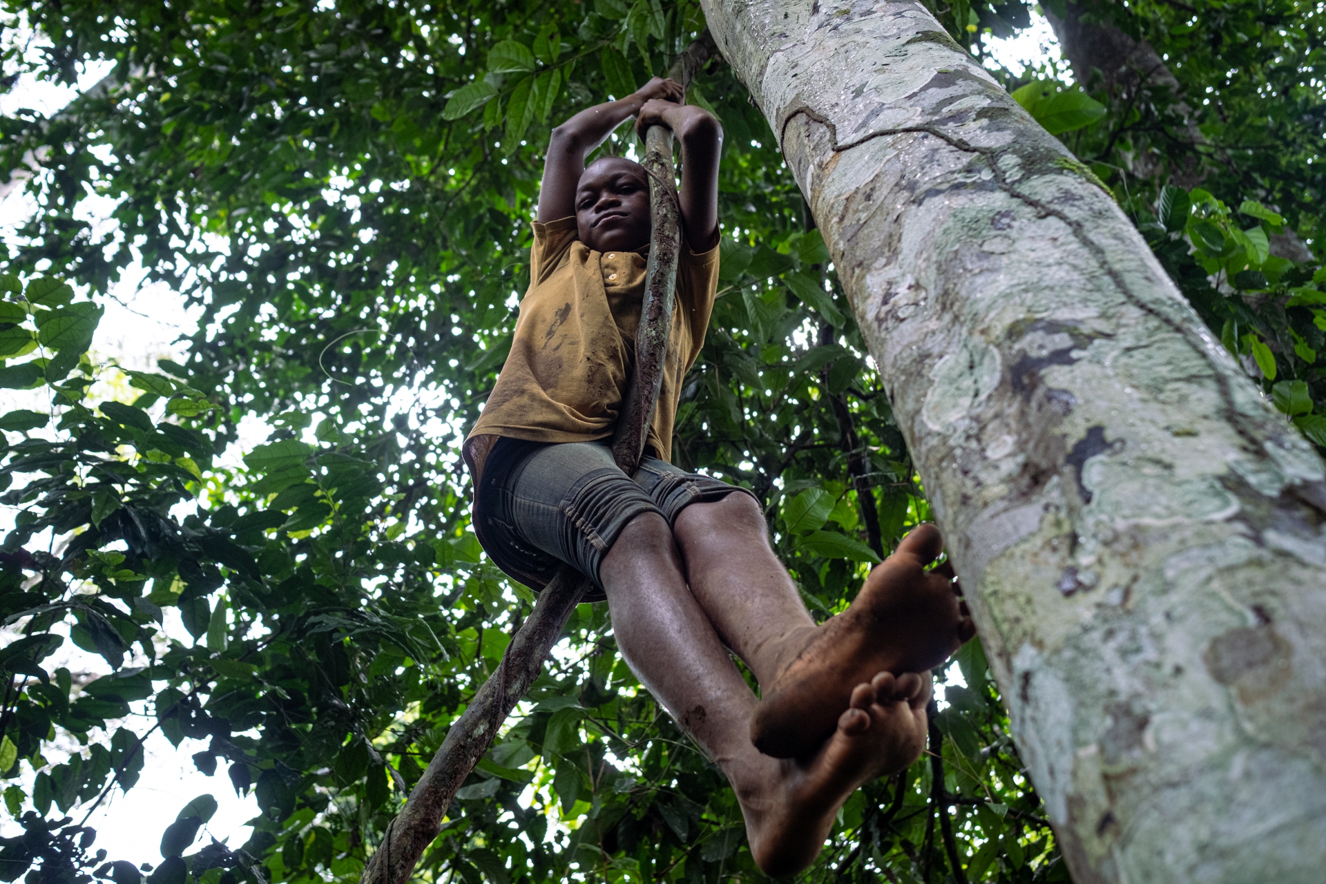 Foto Pigmei Congo-quattordici
