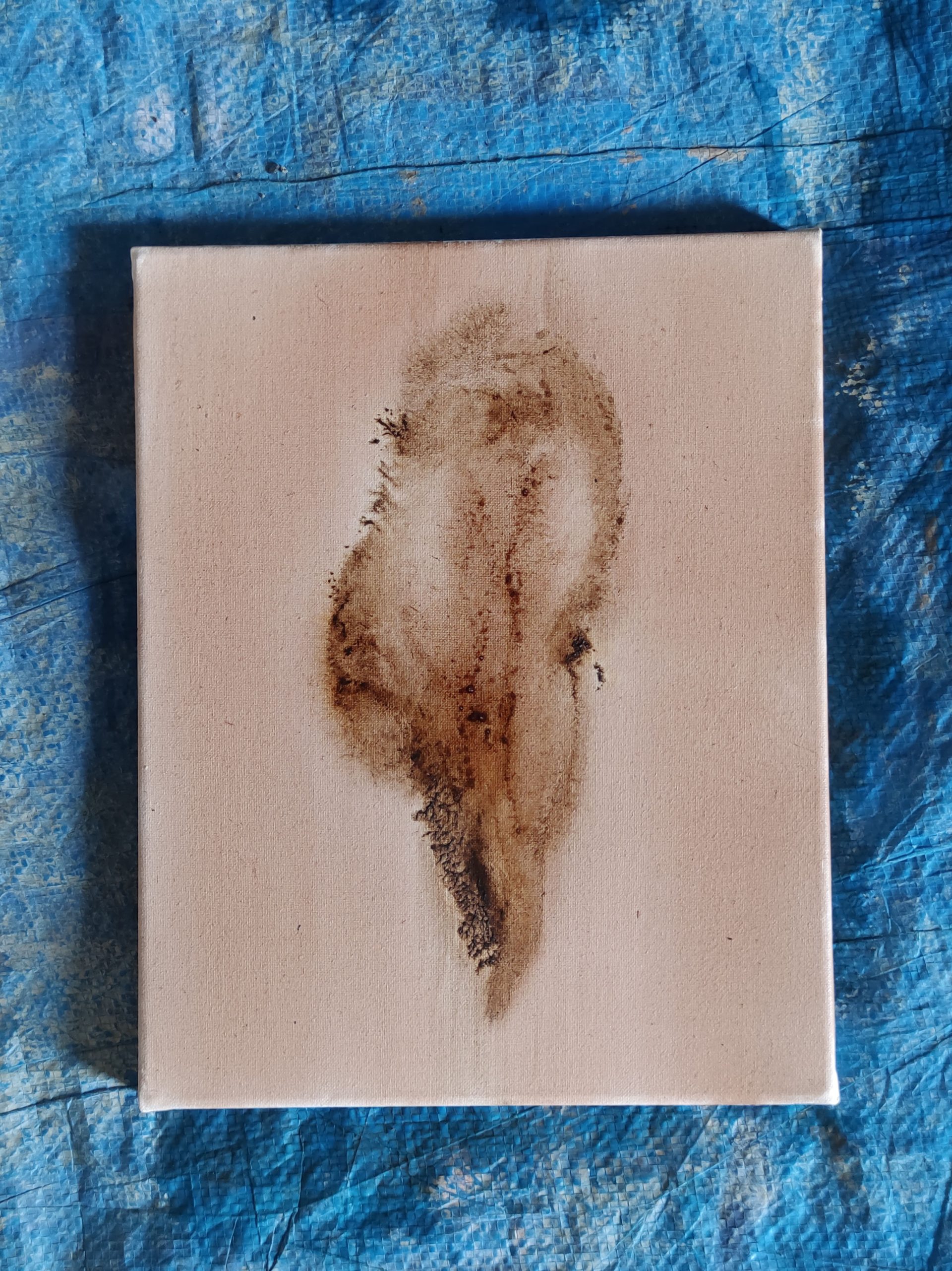 Alessandro Biggio, Senza titolo (Fillirea), cenere e estratto di bacche di fillirea su tela, 24x30 cm, 2023