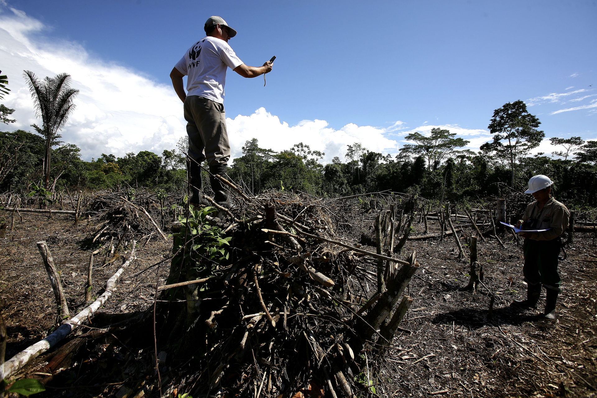 Perché la soia minaccia l'Amazzonia