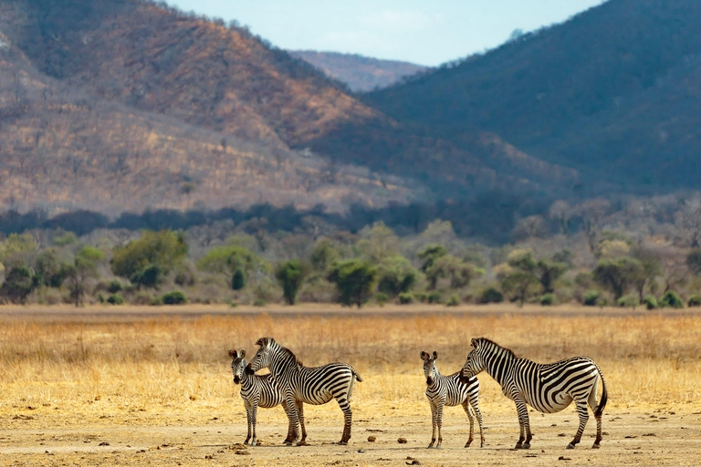 zambia, lower zambezi national park