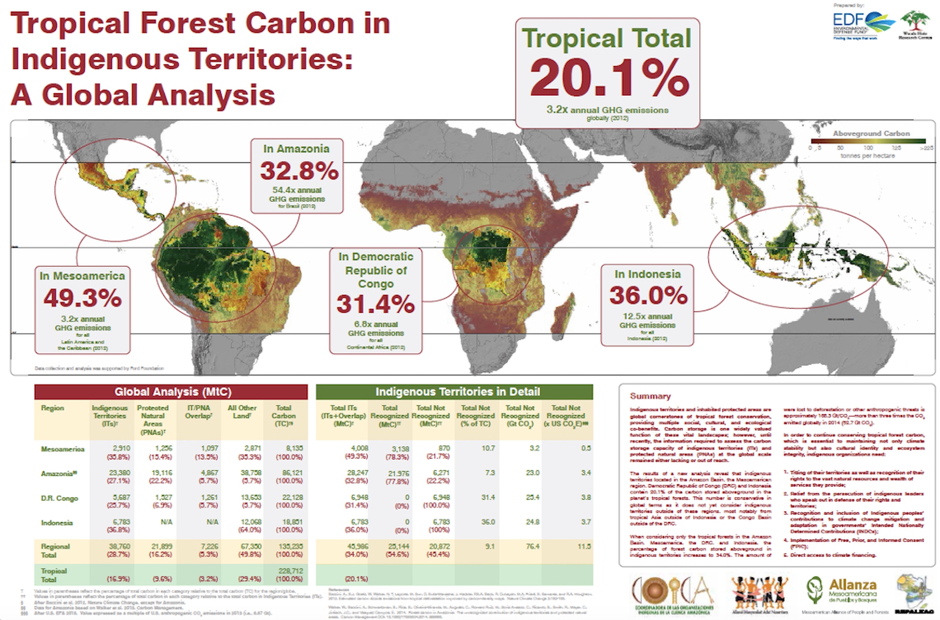 Indigenous activists