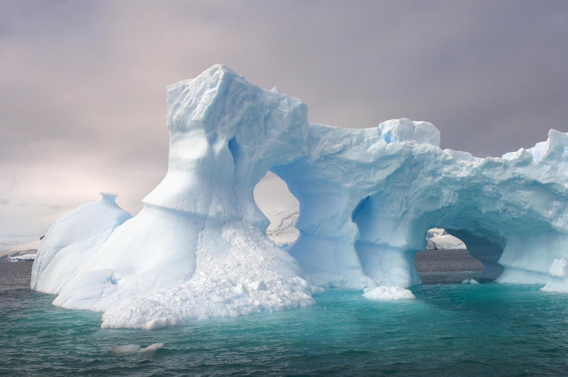 Icebergs floating in Antartica