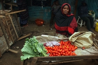 Più veloci e più sicure. A Nairobi frutta e verdura si ordinano con un sms