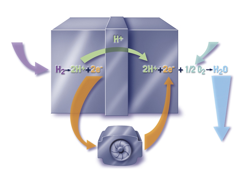 Uno schema del principio di funzionamento delle fuel cells. (foto di BSIP/UIG Via Getty Images)