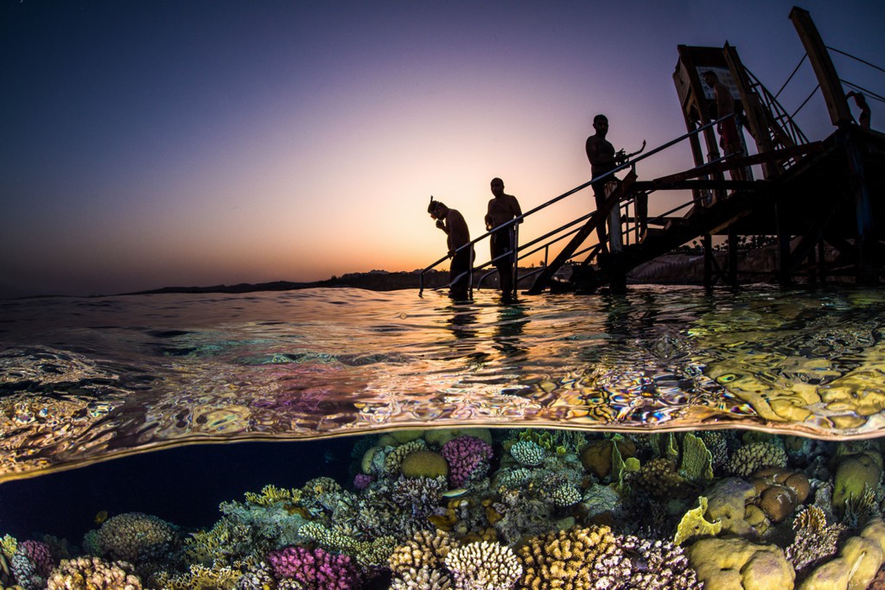 Giornata mondiale degli oceani LifeGate